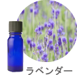 ラベンダー