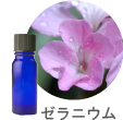 ゼラニウム