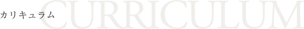 カリキュラム