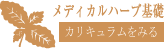 ハーブ基礎