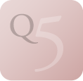 Q5